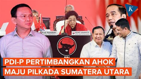 PDI P Pertimbangkan Ahok Maju Pilgub Sumut Tantang Menantu Jokowi