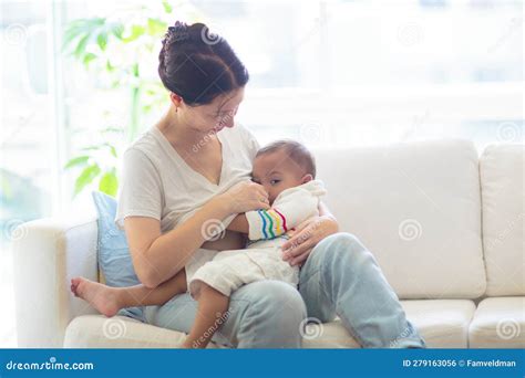 Ape Breastfeeding Infant In Thailand Macaca Leonina Northern Pig