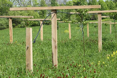 Spring Planting 2016 - Threefold Farm