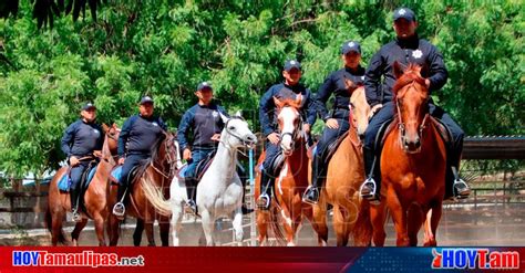 Hoy Tamaulipas Jinetes De La Guardia Estatal Vigilan Areas Rurales Y