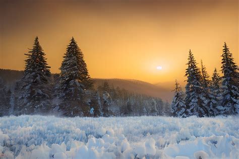 Snowy Landscape with Winter Sun Graphic by eifelArt Studio · Creative ...