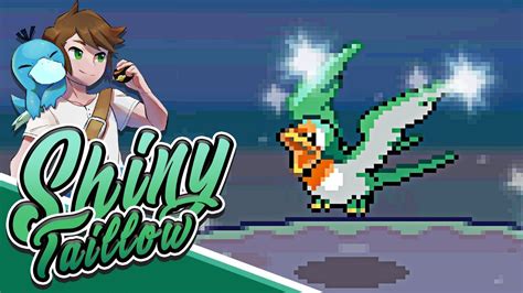 Live Shiny Taillow After 5 Total Phases 50 673 Headbutts Pokémon