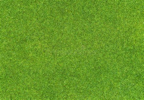 Beautiful Green Grass Pattern From Golf Course Stock Image Image Of