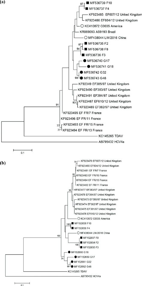 Maximum Likelihood Phylogenetic Trees Based On Partial Nucleotide