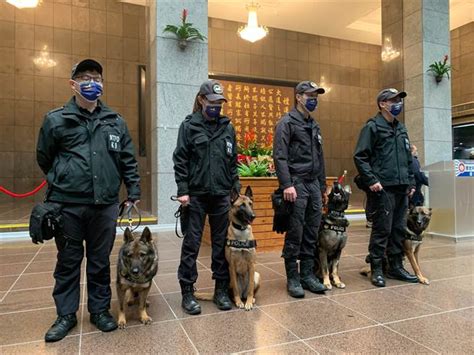 警犬及各種裝備皆出動 北市跨年晚會維安力求滴水不漏 社會 中時