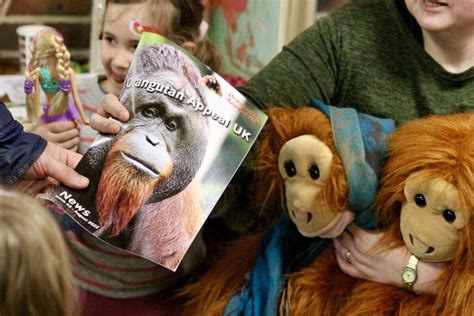 Charity Fundraising Events Uk Orangutan Appeal Uk