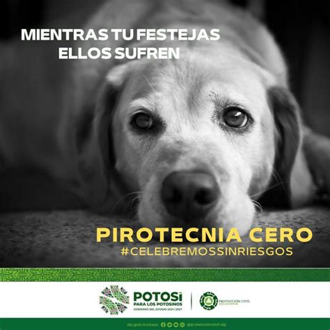 Pirotecnia Cero Estos Cohetes Estar N Prohibidos En Slp L Der