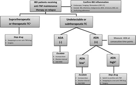 Use Of Anti Tnf Drug Levels To Optimise Patient Management Frontline Gastroenterology