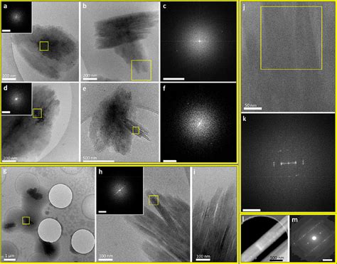 TEM and cryo-TEM images of (a−f) crystallization intermediates, 90 min ...