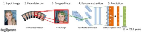 Github Alialmanea Age Gender Detection Using Opencv With Python Age