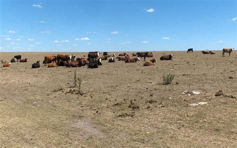 Sequía Afecto A Zonas Del Uruguay De Manera Dispar Revista Verde