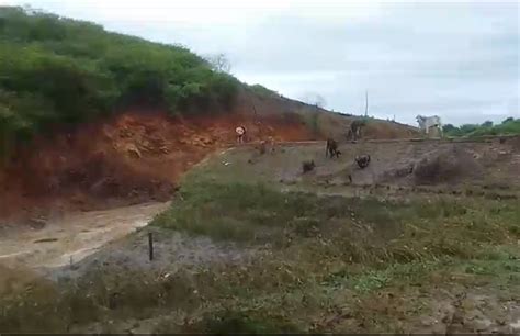 Chuvas no Sertão barragem rompe e causa alagamento em Conceição veja