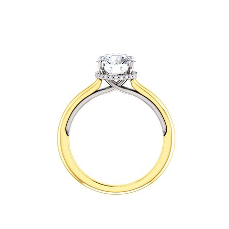 Solitaire Halo Gallery Engagement Ring Setting Serli And Siroan