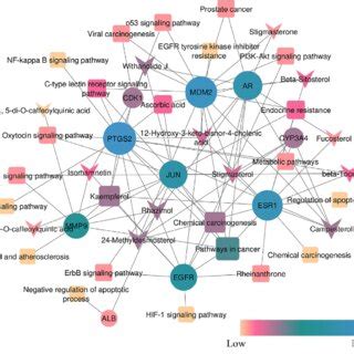 Compound Target Disease Network The Size Of Nodes Indicates Their