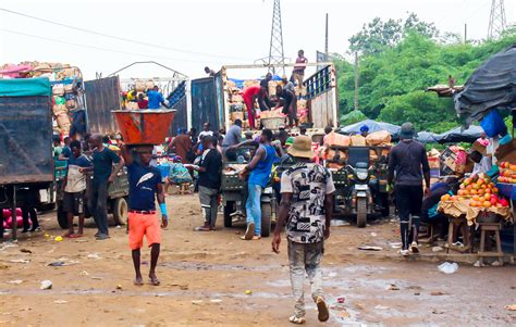 R Colte De Mangues En C Te Divoire Embarquez Pour Un Voyage De