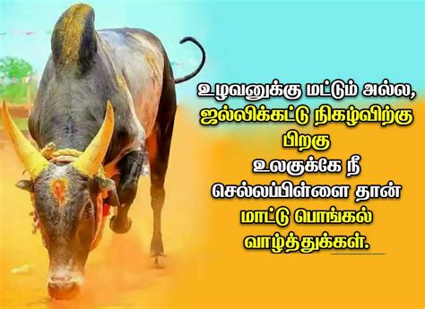 Mattu Pongal Wishes in Tamil மடட பஙகல வழதத சயதய