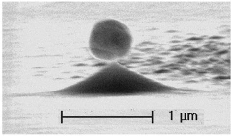 Silicon Multiple Exciton Generation Pn Junction Hybrid Solar Cell