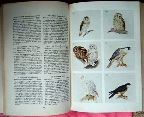 Birds Of Japan By Uchida Seinsuke 1949 Patrick Pollak Rare