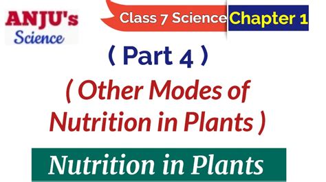 Part 4 Other Modes Of Nutrition In Plants Class 7 Science