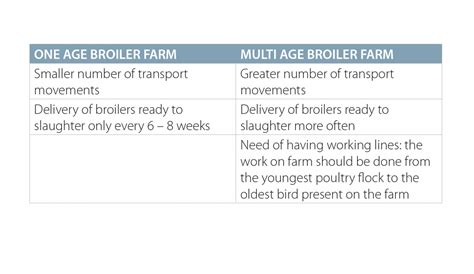 Critical Points On The Poultry Farm General Management Cidlines Website