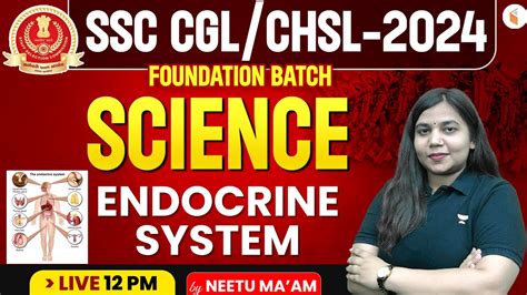 Ssc Foundation Batch Ssc Cgl Chsl Endocrine System