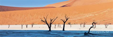 Dead Vlei Panorama Namibia Photograph By Justin Foulkes Fine Art America