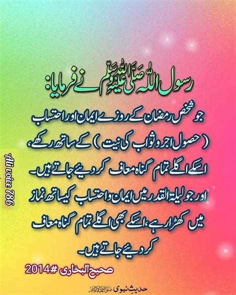 Dailyhadees Alivoice786 Islamic Islamicstatus Shorts Shortsfed Hadees Habits