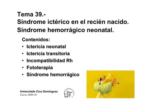 PDF Tema 39 Síndrome ictérico en el recién nacido Síndrome