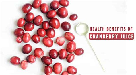 ️6 Cranberry Juice Benefits: How It Is Useful | HealthtoStyle