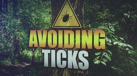 Preventing Tick Bites And Lyme Disease Youtube