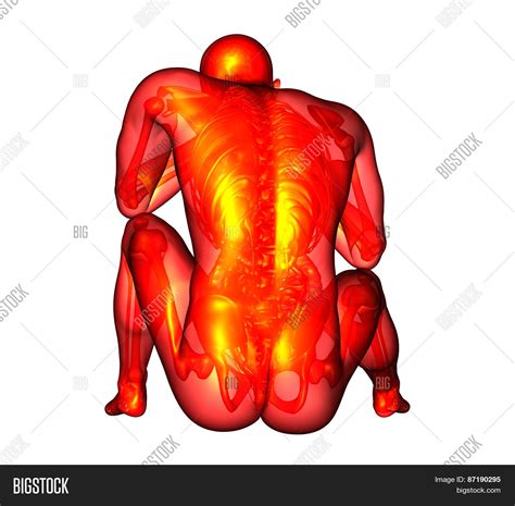 D Render Medical Image Photo Free Trial Bigstock