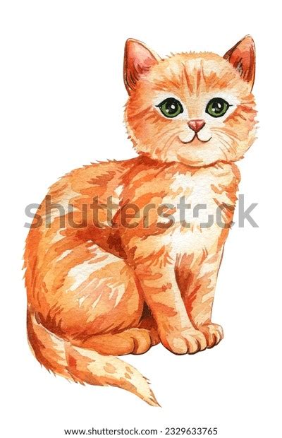 Domestic Cat Breeds With Pictures Over 900 Royalty Free Licensable