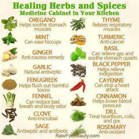 List Of Medicinal Herbs And Their Uses | herbalism medicine