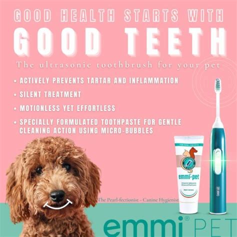 Emmi Pet Dental Care Pet Teeth Cleaning Mutneys