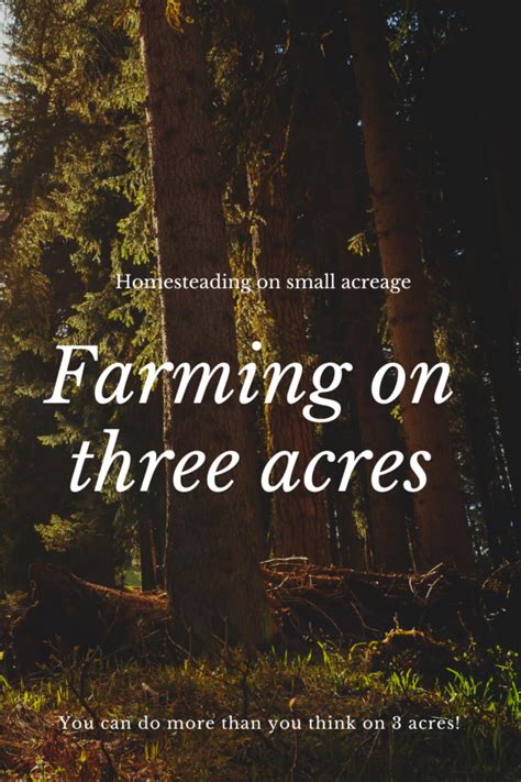 Farming on 3 acres - The Domestic Geek Blog