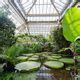 Hortus Botanicus Leiden Leiden Netherlands Atlas Obscura