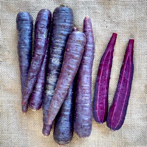 Purple Carrots – Village Greens of Willunga Creek