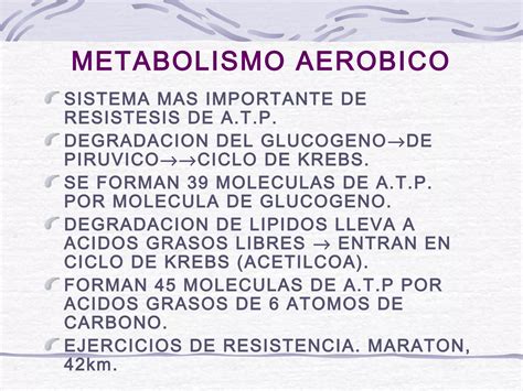 Nutricion Y Actividad Fisica Ppt