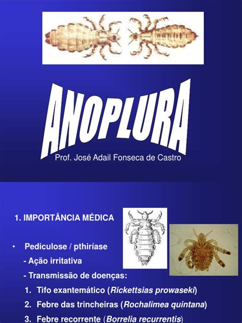 Anoplura | PDF | Artrópodes | Bem-estar