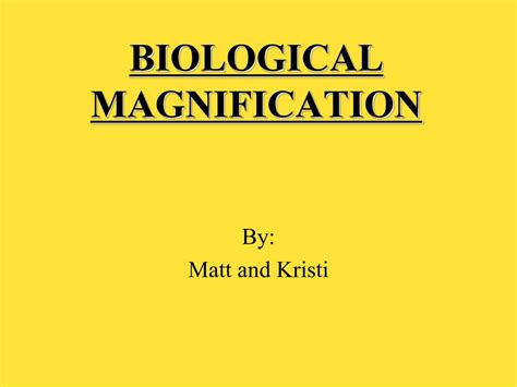 PPT - BIOLOGICAL MAGNIFICATION PowerPoint Presentation, free download ...