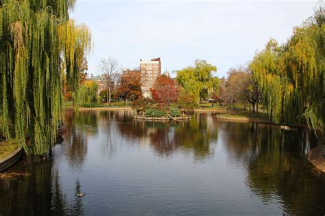 8 of the Best Parks in Boston for History and Nature Buffs Alike