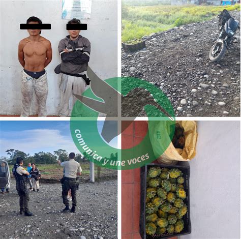 Polic A En Palora Aprehende A Dos Ciudadanos Por Hurto De Pitahaya