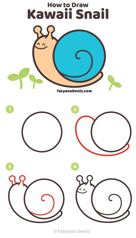 How To Draw Snail Step By Step