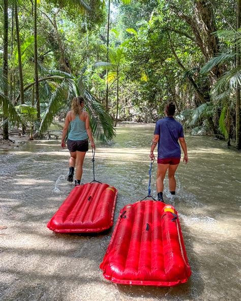 Daintree Rainforest Tours Mossman River Half Day Drift Walk Tour