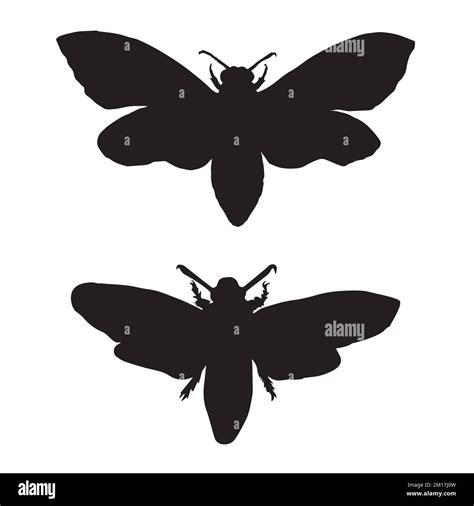 Moth Art Silhouette Stock Vector Image And Art Alamy