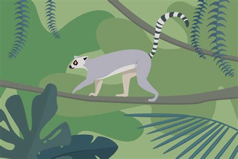 Lemur in Rainforest, Graphics - Envato Elements