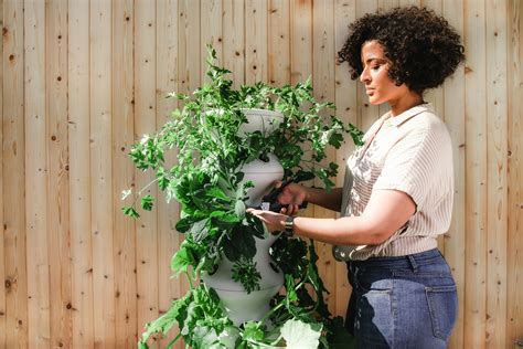 Can You Grow Vegetables In A Miniature Greenhouse? – Greenhouse Design