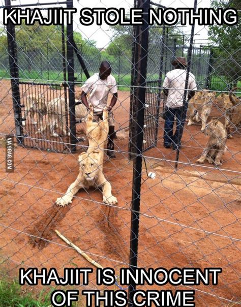 Pussy Gets Punished 9GAG