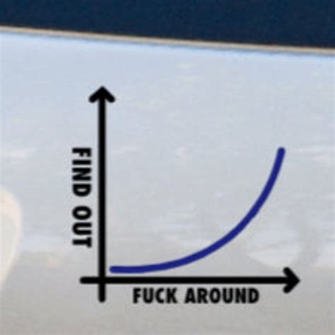 Fuck Around And Find Out Graph Png Etsy