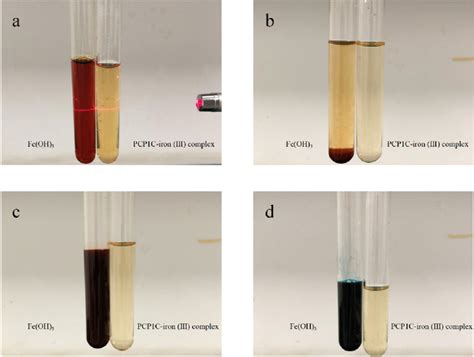 Comparison of Fe (OH) 3 and PCP1C-iron (III) complex in physicochemical... | Download Scientific ...